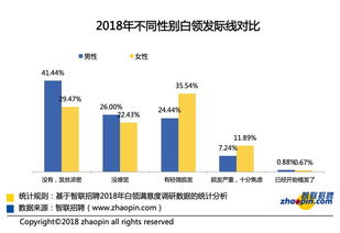 199it 互聯網數據資訊中心的專業數據服務解析